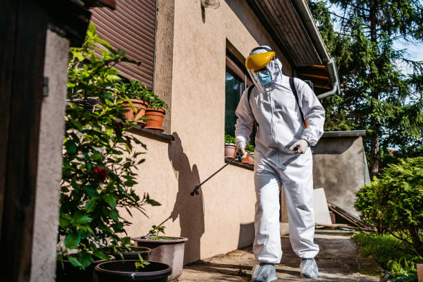 Best Wildlife Control Services  in Laporte, CO