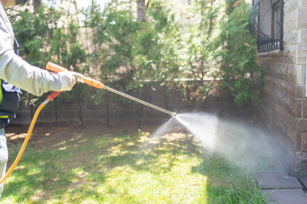 Best Pest Removal Services  in Laporte, CO