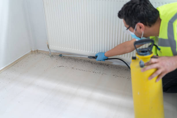 Best Cockroach Control Services  in Laporte, CO